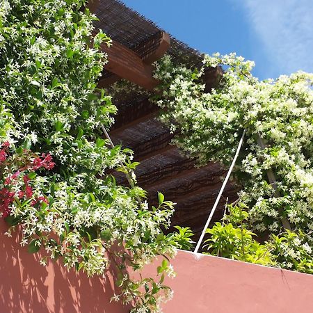 Bed and Breakfast Gato Preto De Silves - Adults Only Exteriér fotografie