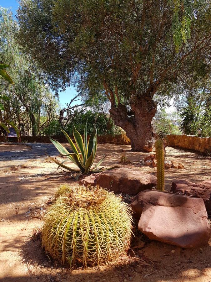 Bed and Breakfast Gato Preto De Silves - Adults Only Exteriér fotografie